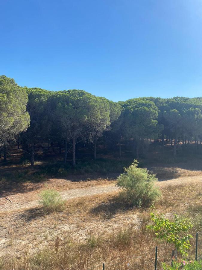 Studio Cabine Mer Et Pinede 26M2: 4Pers, Neuf, Cosy La Grande Motte Luaran gambar